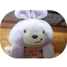 Load image into Gallery viewer, Purple Plush Poppy Pal Bunny &amp; Children’s Board Book Tales from Nature - RABBIT
