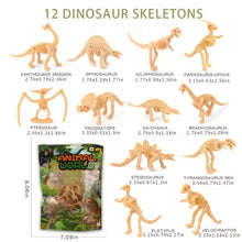 Load image into Gallery viewer, Archaeological Toy Dinosaur Skeleton 12pcs
